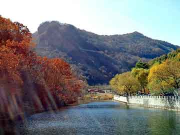 管家婆黑白马报图库，圆孔钢板网